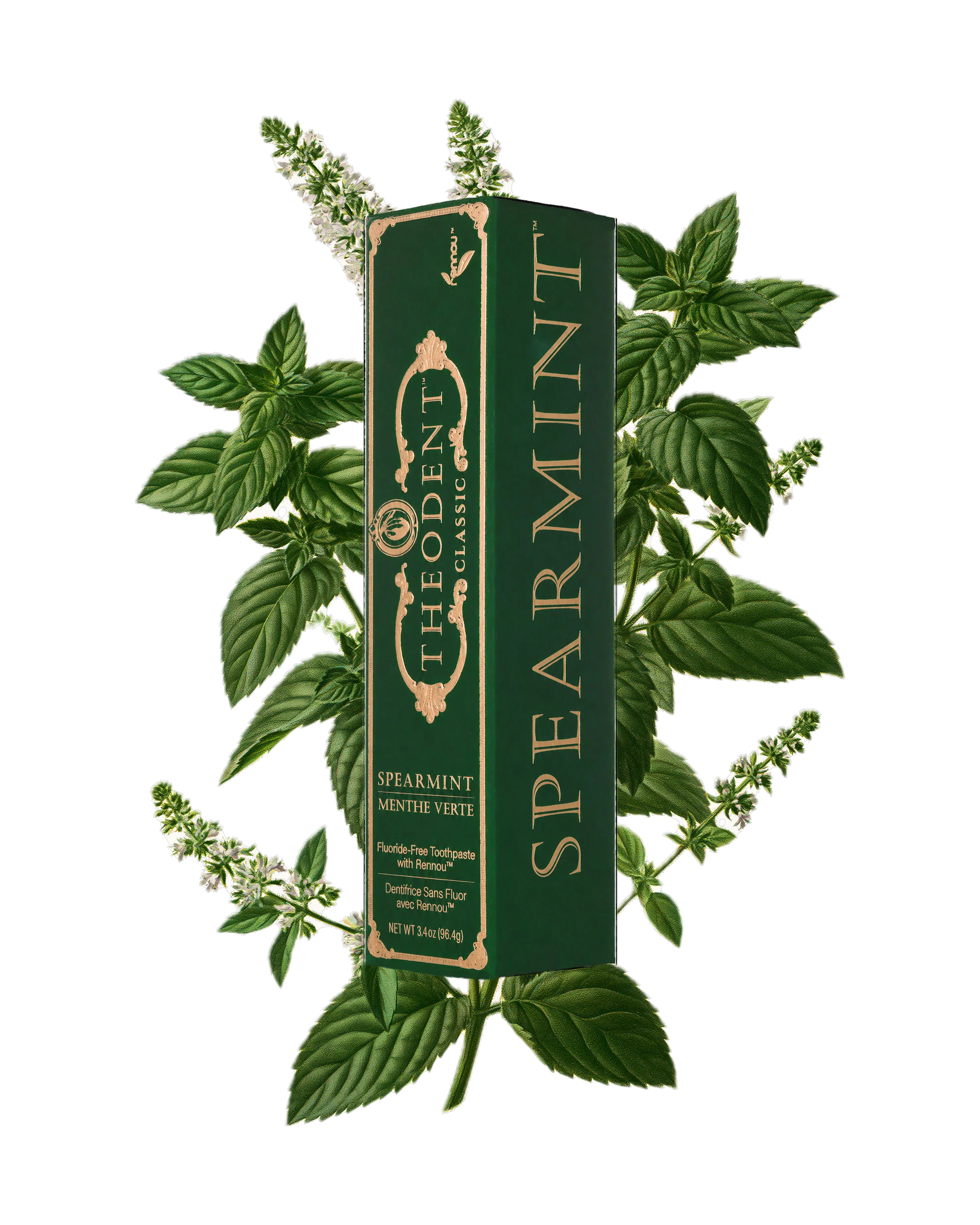 Theodent Classic spearmint carton among spearmint leaves and flowering stems