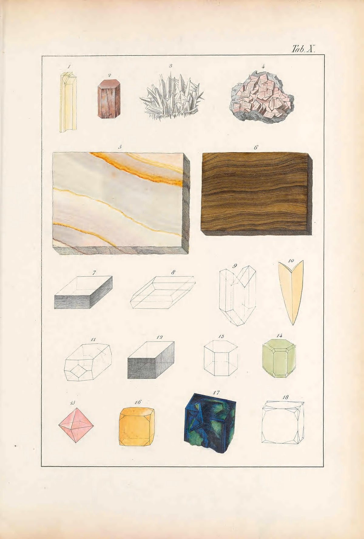 Kurr, The Mineral Kingdom, 1859, Tab. X: phosphate of lime and fluor spar