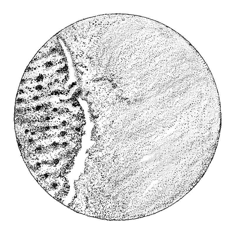 Circular stippled view of enamel after Rennou®, with new mineral growth in sheeting layers