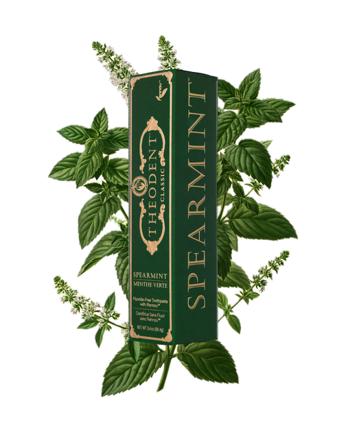 Theodent Classic spearmint carton among spearmint leaves and flowering stems